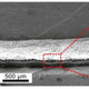 Image for article titled These Artificial Muscles Are Made of Gold-Plated Onion Skin